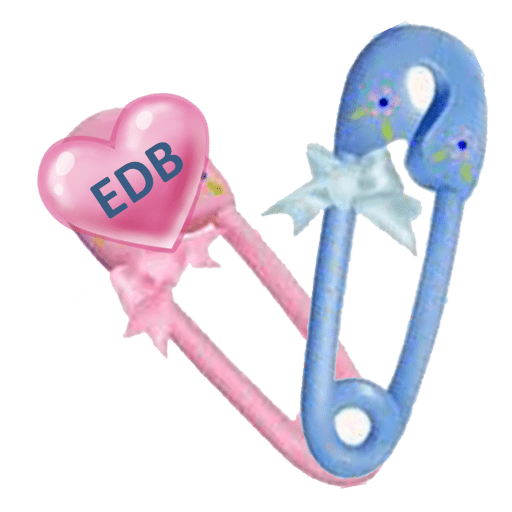 croppedBaby_Pin_Logo_pin_only3e1531594324783.png Emma's Diaper Boutique